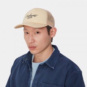 Beige Men Carhartt Signature Trucker Hats | TZG-361708