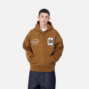 Brown Men Carhartt Hooded Brown Ducks Hoodie | CRU-054872