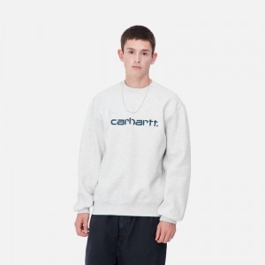 Grey Men Carhartt Carhartt Sweatshirt | FTM-879260