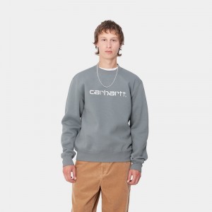 Grey Men Carhartt Carhartt Sweatshirt | KQD-759346