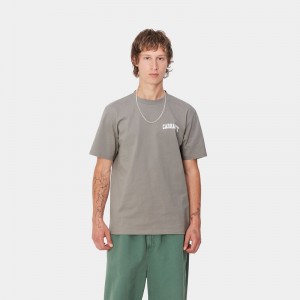 Grey Men Carhartt University Script T-Shirt | KNZ-689537