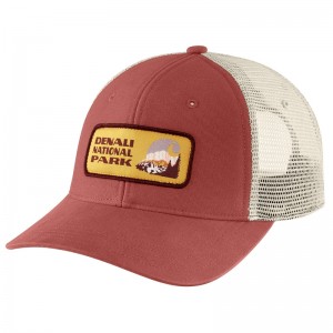 Rose Men Carhartt Canvas Denali National Park Patch Hats | AEU-865409