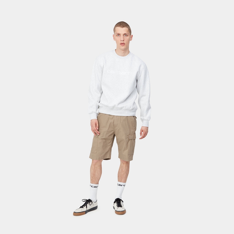 Beige Men Carhartt Aviation Shorts | BMZ-580639