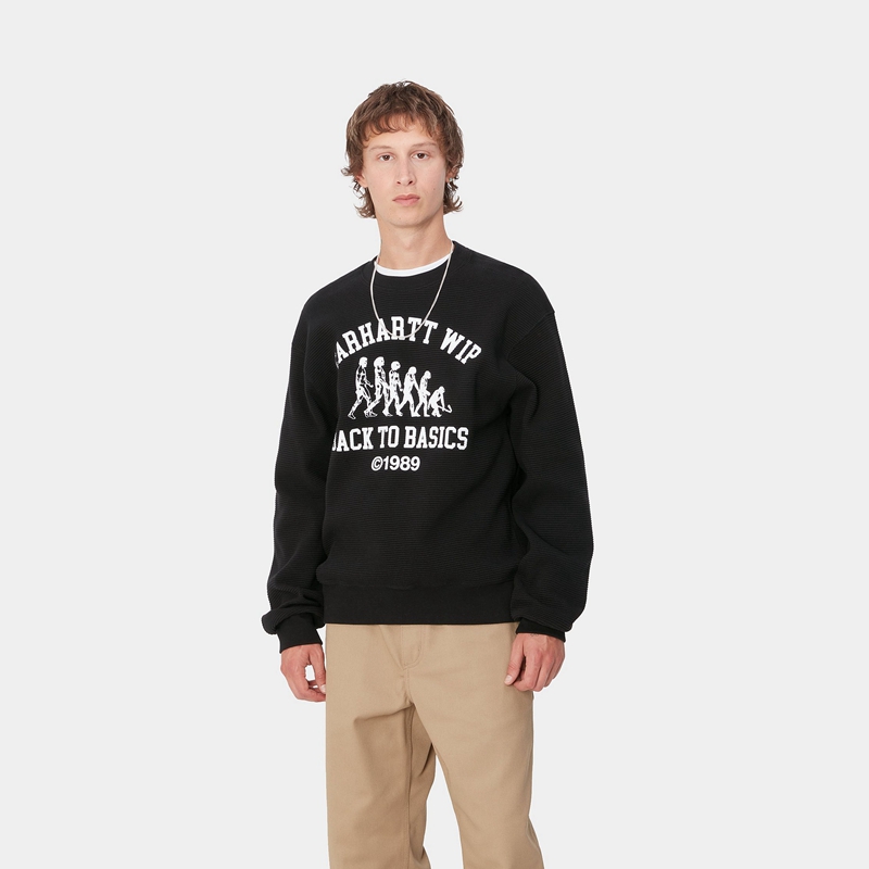 Black Men Carhartt Main Basics Sweatshirt | AVB-867421