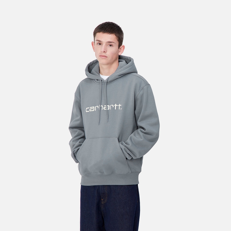 Grey Men Carhartt Hooded Hoodie | BVD-461528