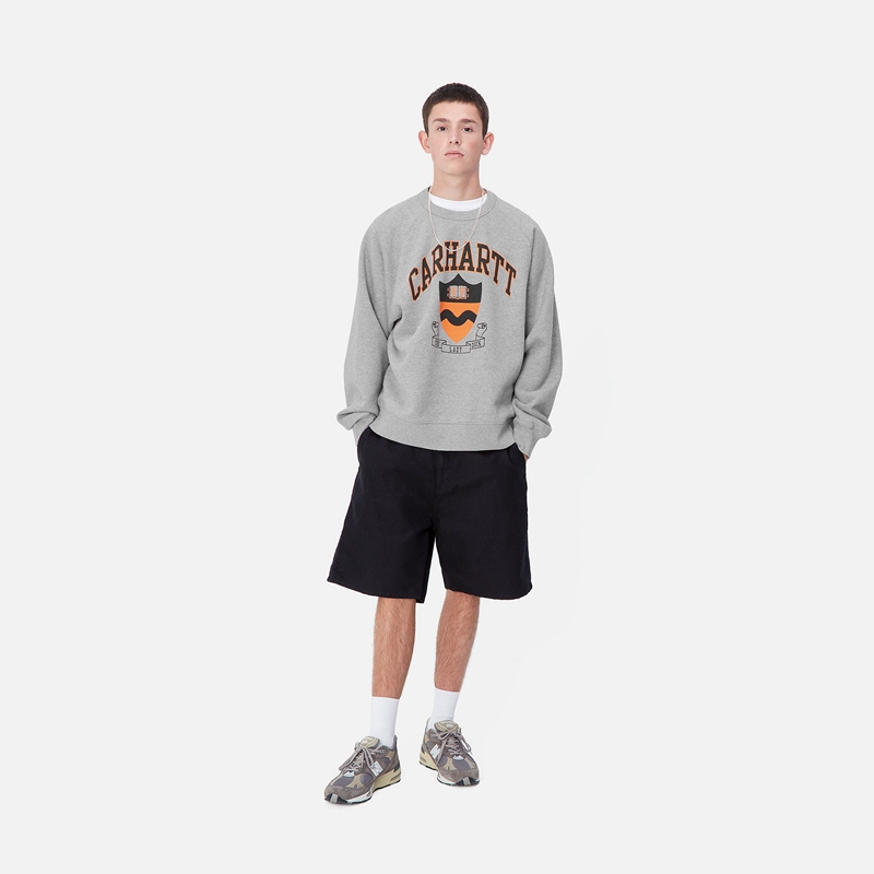 Grey Men Carhartt Lazy Duck Academy Sweatshirt | HCM-042183