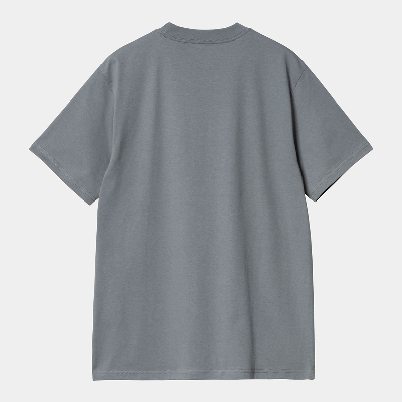 Grey Men Carhartt Smart T-Shirt | ALC-928304