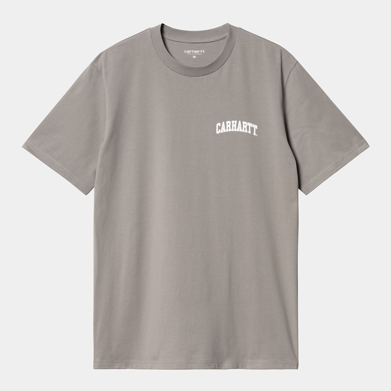 Grey Men Carhartt University Script T-Shirt | KNZ-689537