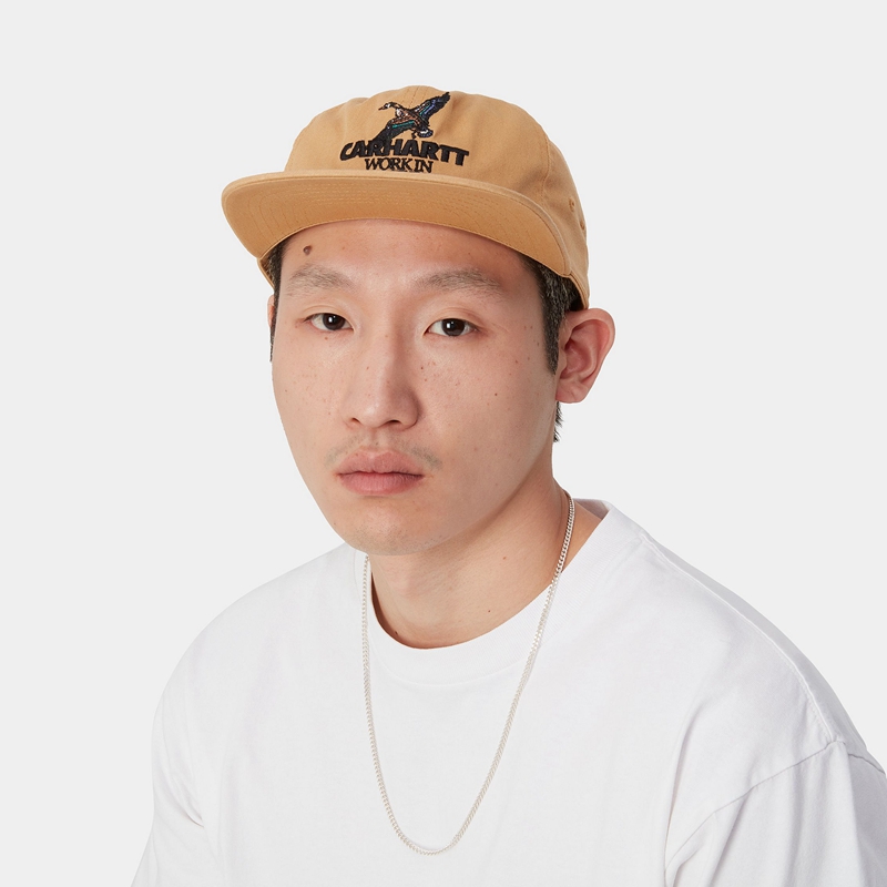 Khaki Men Carhartt Ducks Hats | NXC-029154